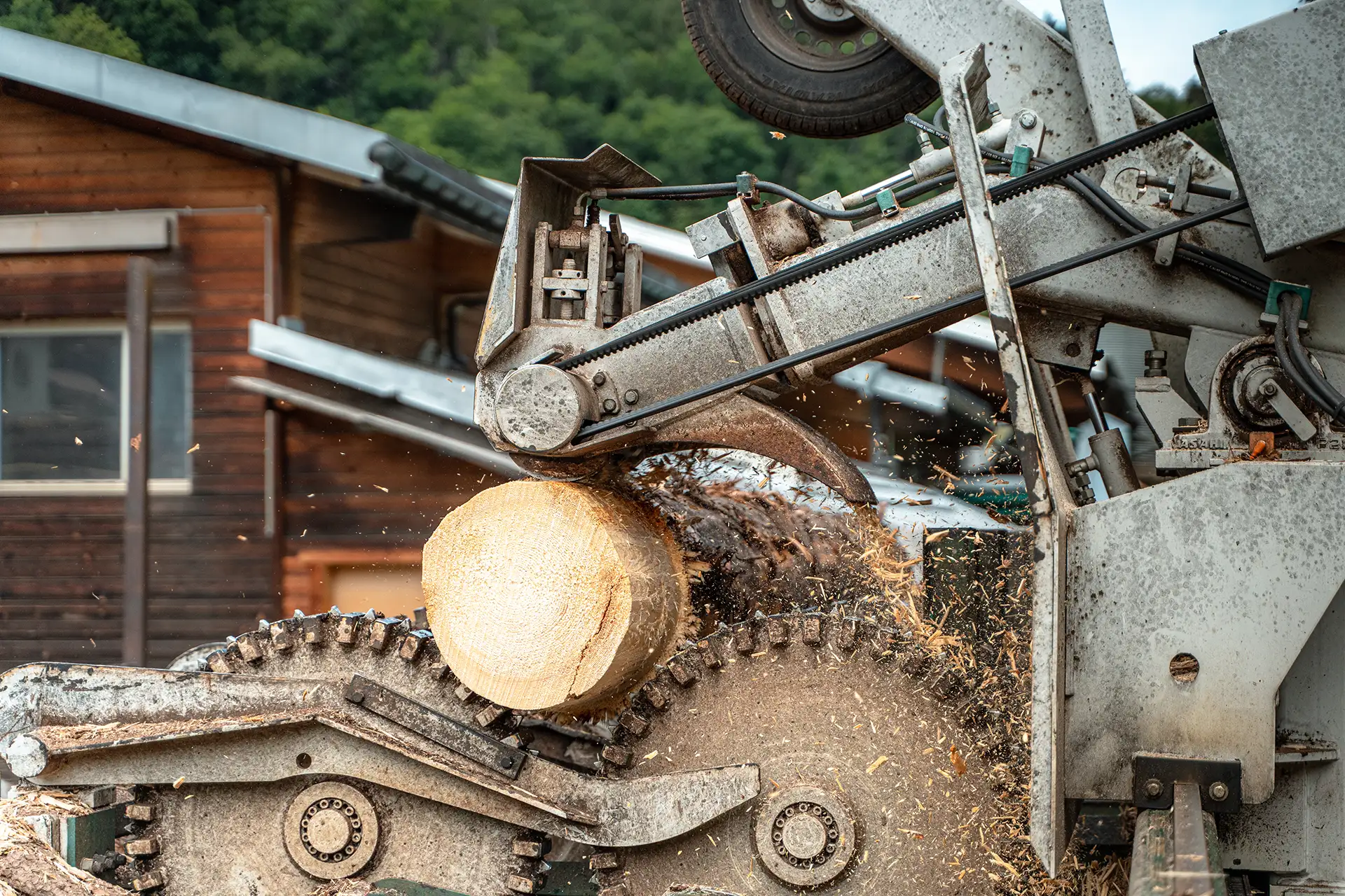 Ecorceuse