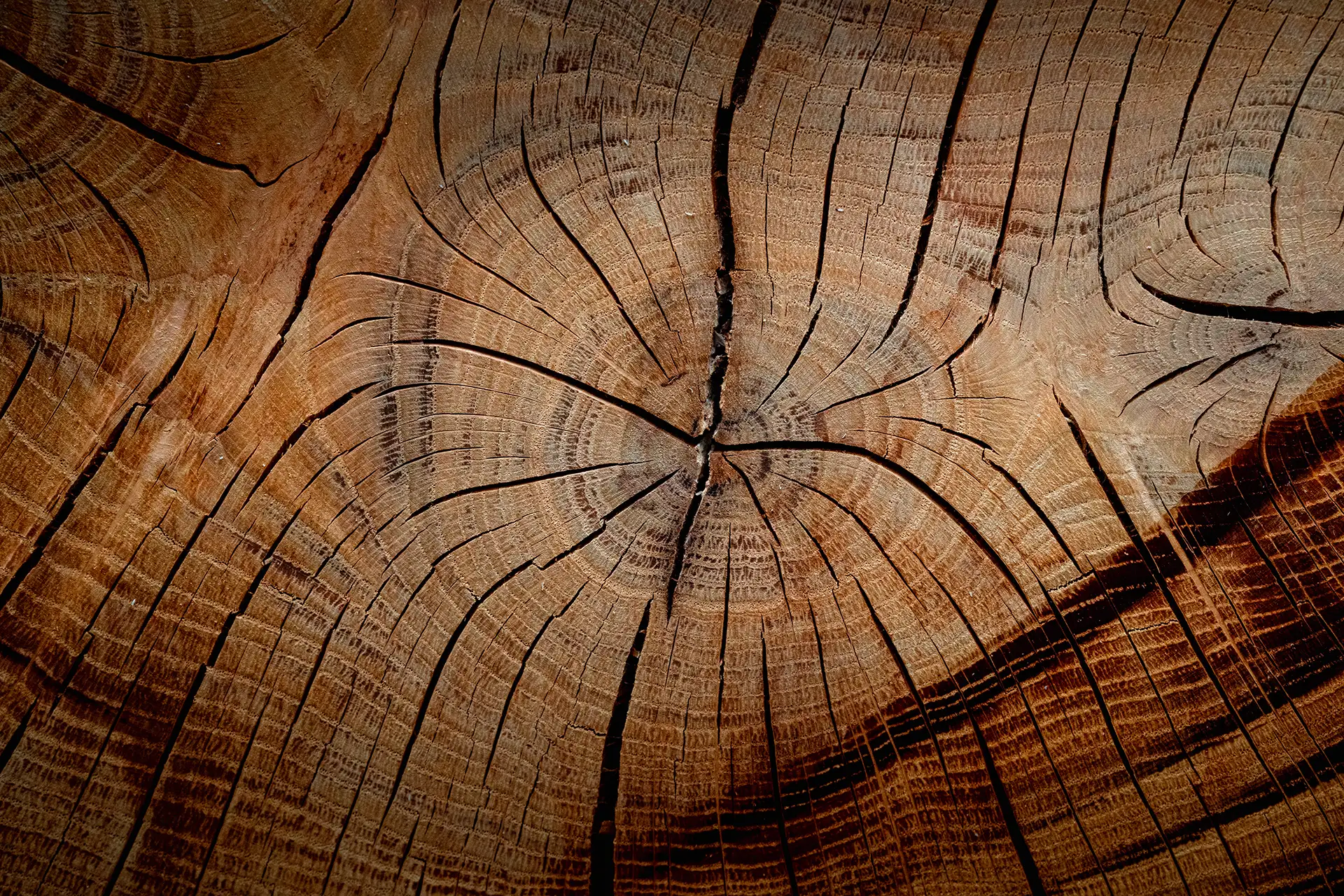 Gros plan sur du chêne ou apparaissent les rainures du bois